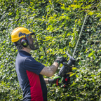 SV20 Series 52cm Cordless Hedge Trimmer Kit 40V 4Ah - 2 Batteries CP40VHTKIT