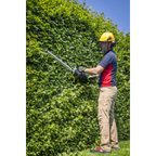 SV20 Series 52cm Cordless Hedge Trimmer 40V - Body Only CP40VHT
