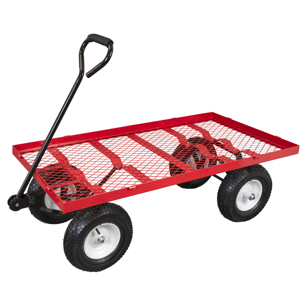 Platform Truck with Folding/Removable Sides 350kg Capacity CST806