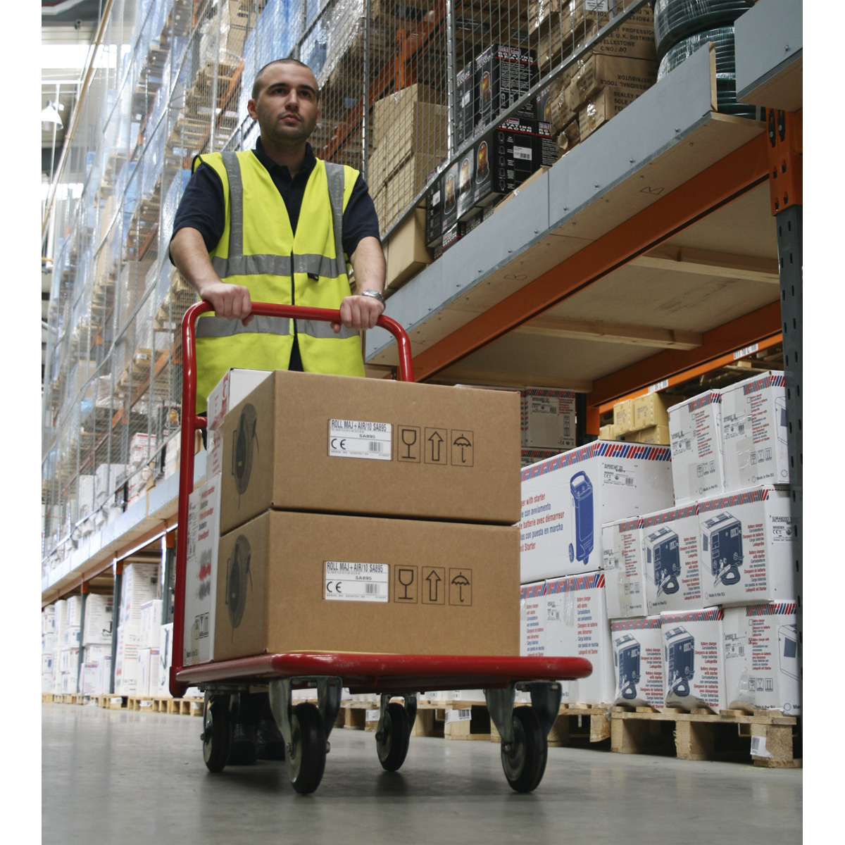 Heavy-Duty Platform Truck 250kg Capacity CST993