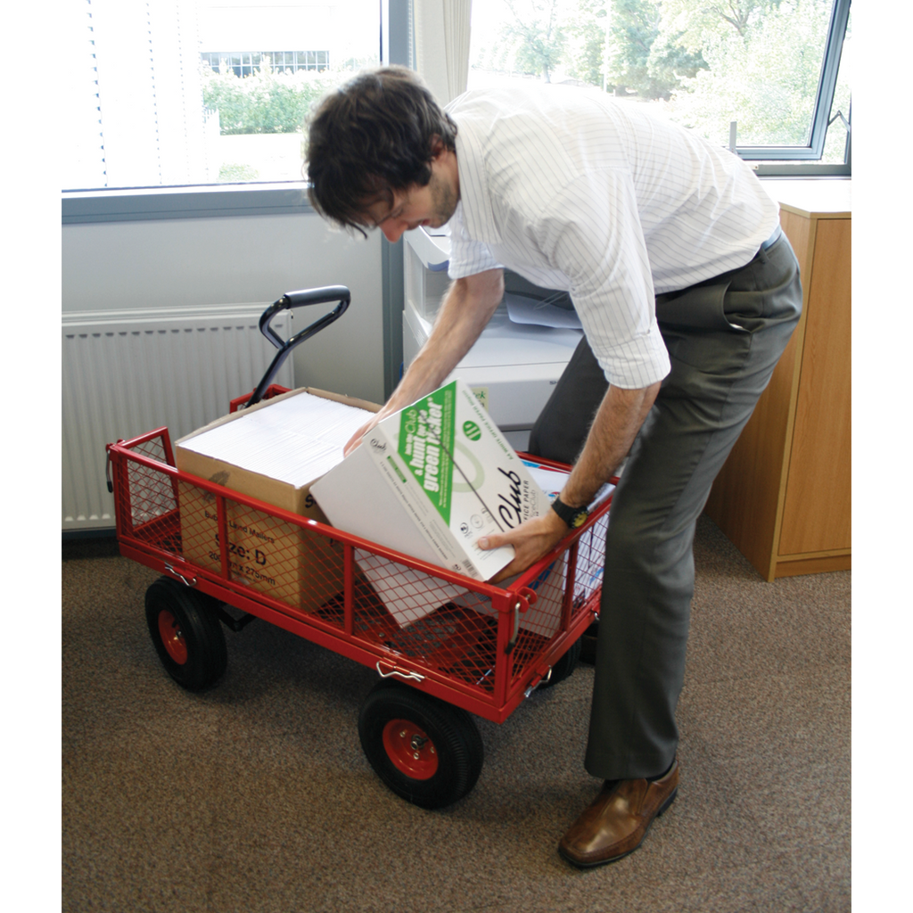 Platform Truck with Removable Sides & Pneumatic Tyres 200kg Capacity CST997