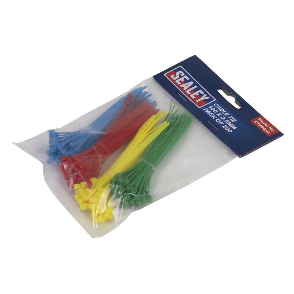 Cable Tie Assortment 100 x 2.5mm - Pack of 200 CT200
