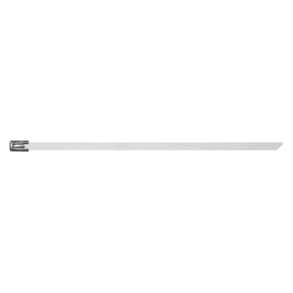 Stainless Steel Cable Tie 150mm x 4.6mm - Pack of 100 CTSS150
