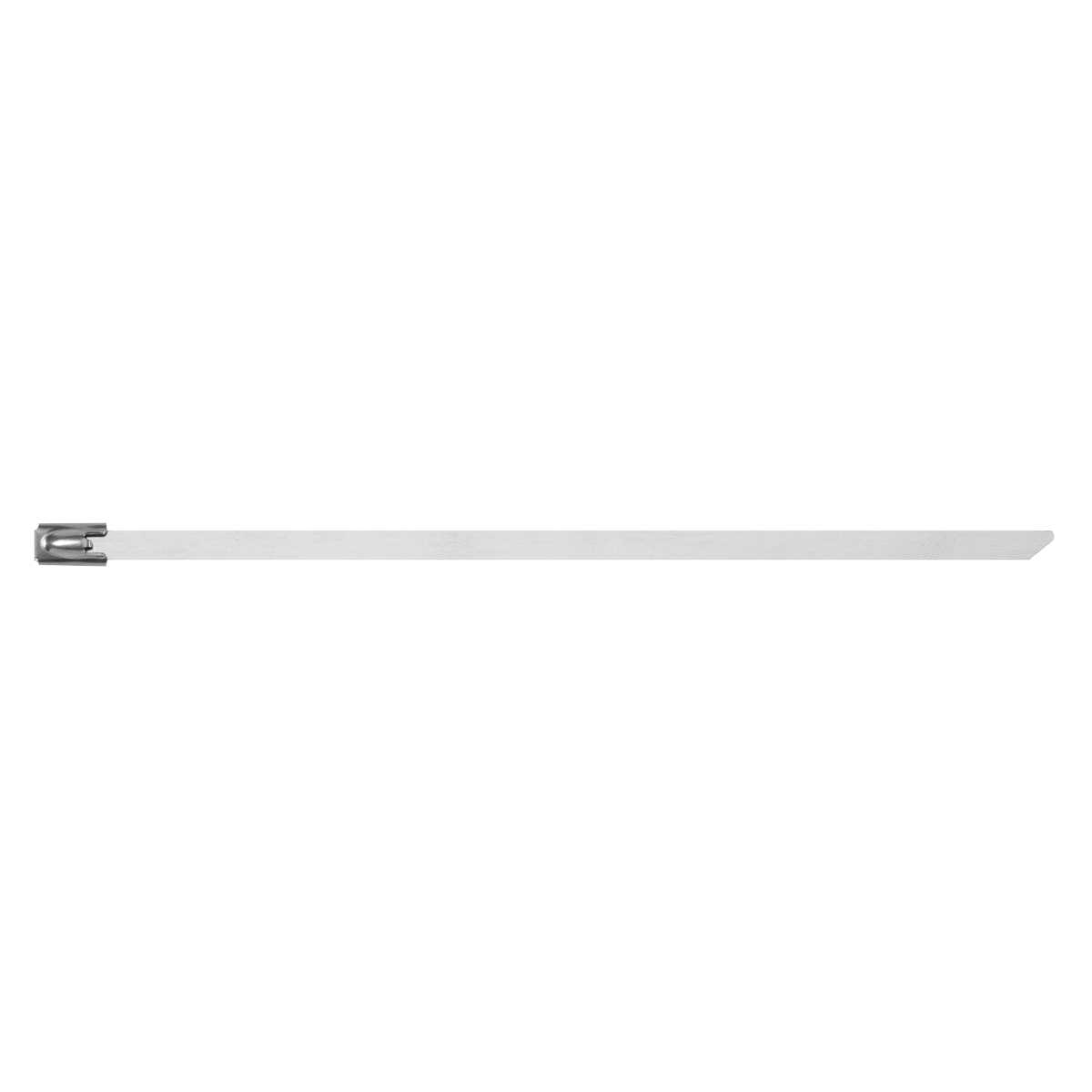 Stainless Steel Cable Tie 150mm x 4.6mm - Pack of 100 CTSS150