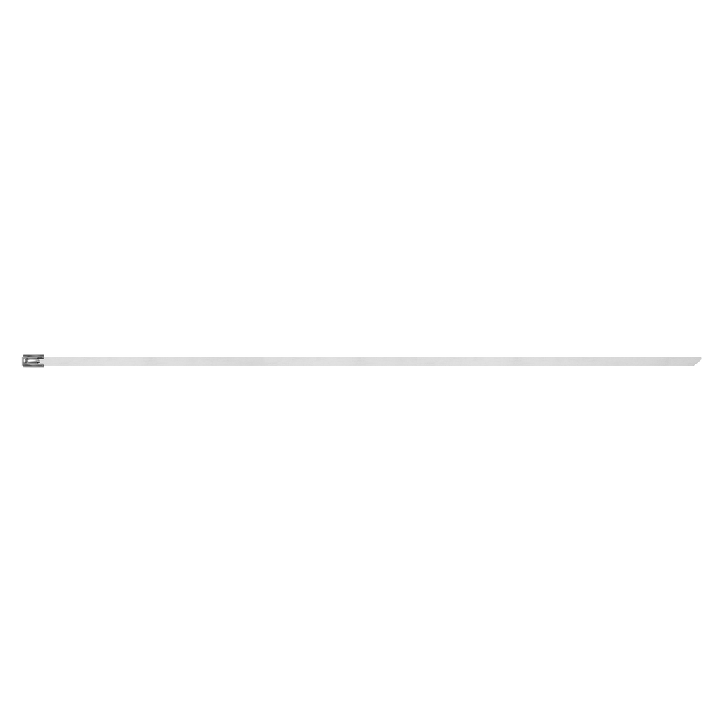 Stainless Steel Cable Tie 200mm x 4.6mm - Pack of 100 CTSS200