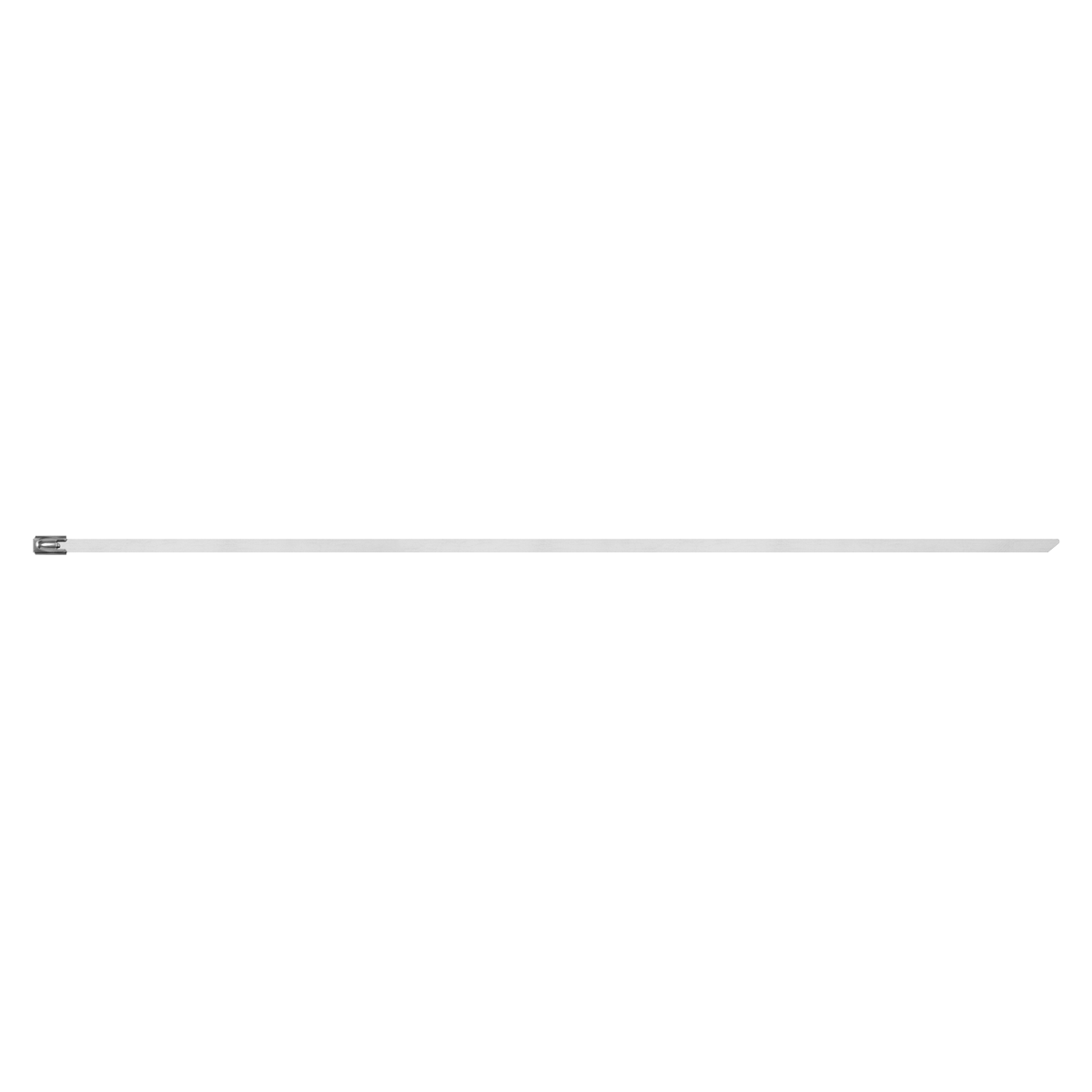 Stainless Steel Cable Tie 200mm x 4.6mm - Pack of 100 CTSS200