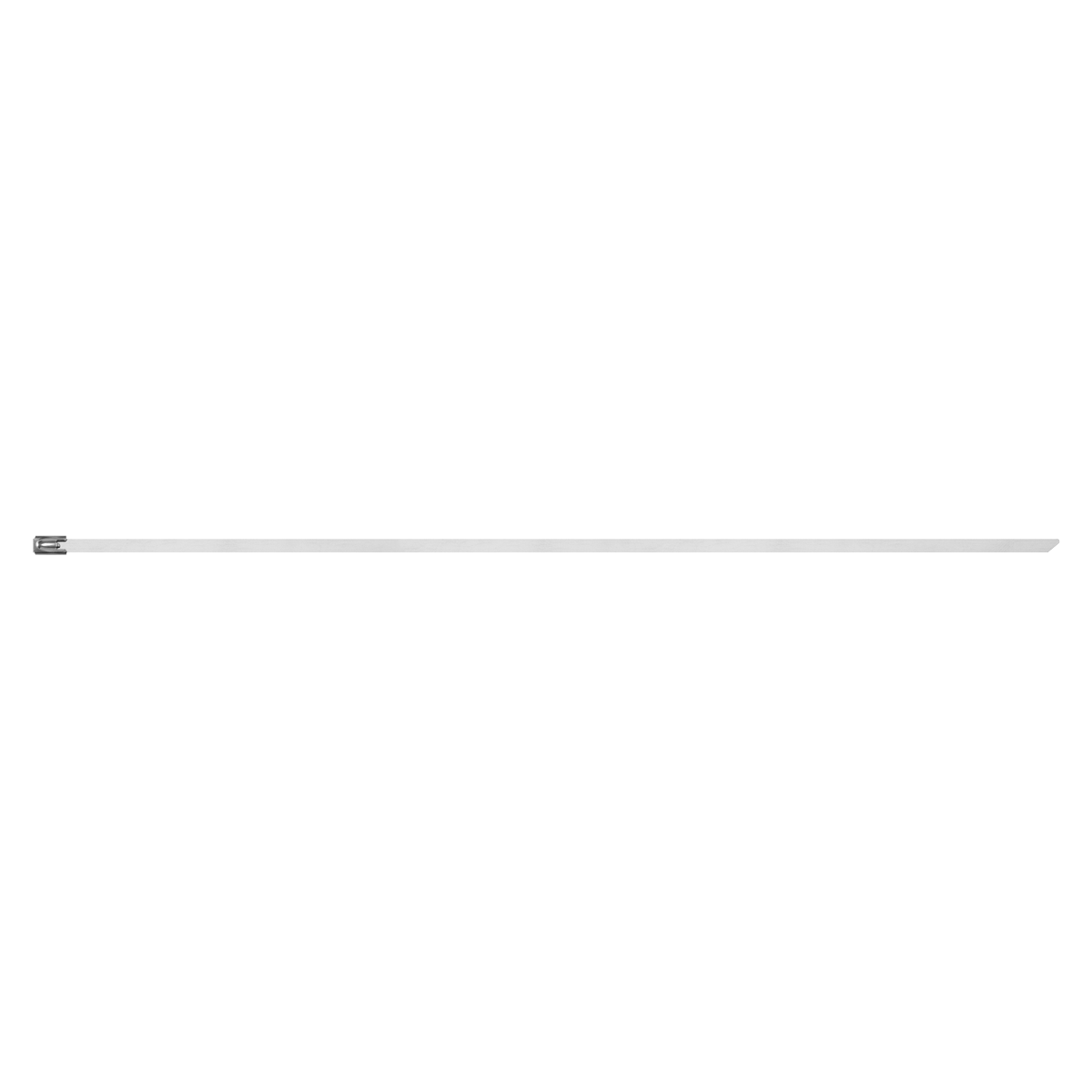 Stainless Steel Cable Tie 300mm x 4.6mm - Pack of 100 CTSS300