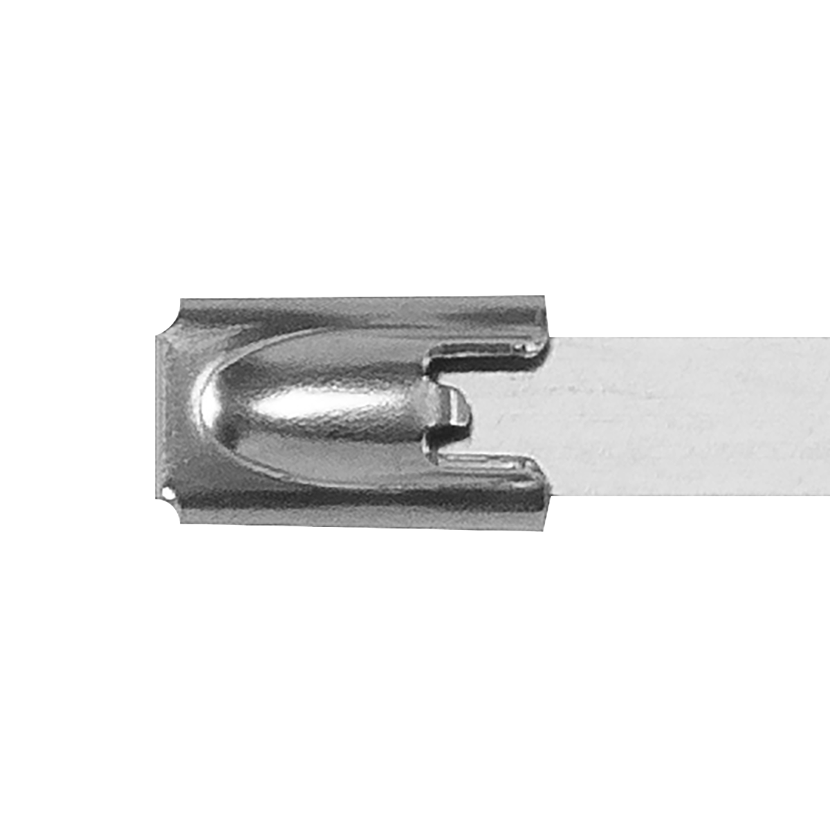 Stainless Steel Cable Tie 300mm x 4.6mm - Pack of 100 CTSS300