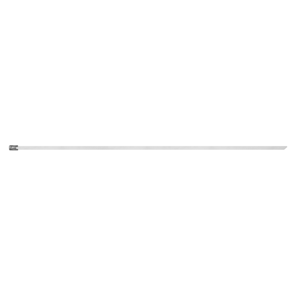 Stainless Steel Cable Tie 300mm x 4.6mm - Pack of 100 CTSS300