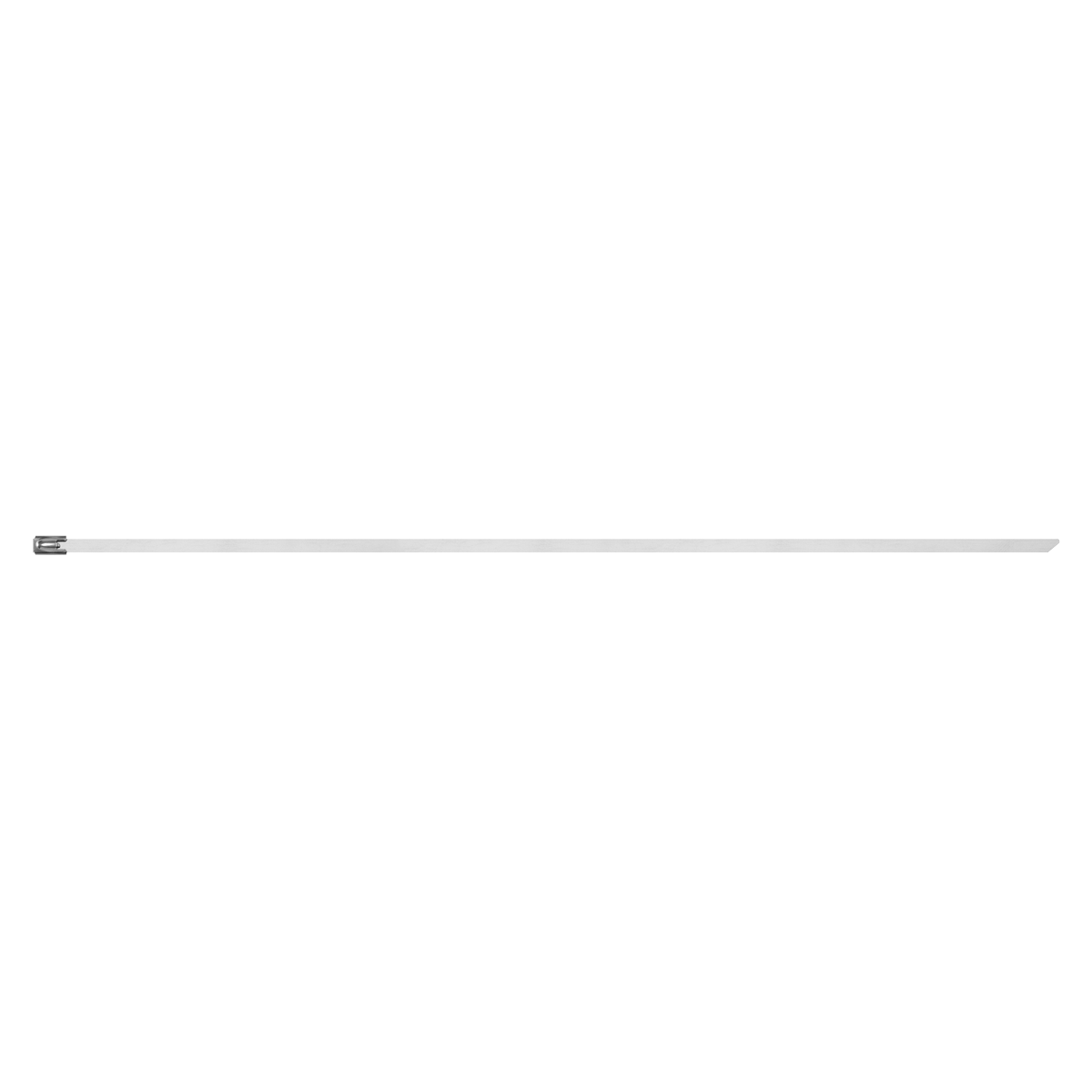 Stainless Steel Cable Tie 300mm x 4.6mm - Pack of 100 CTSS300