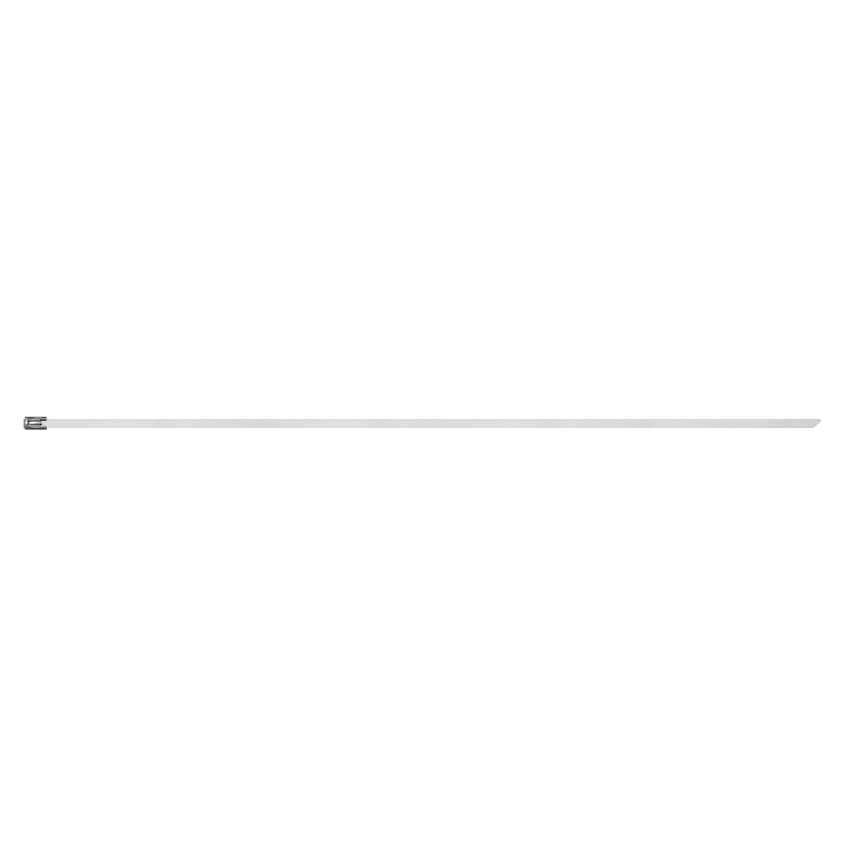 Stainless Steel Cable Tie 400mm x 4.6mm - Pack of 100 CTSS400