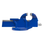 Vice Fixed Base 100mm CV100E