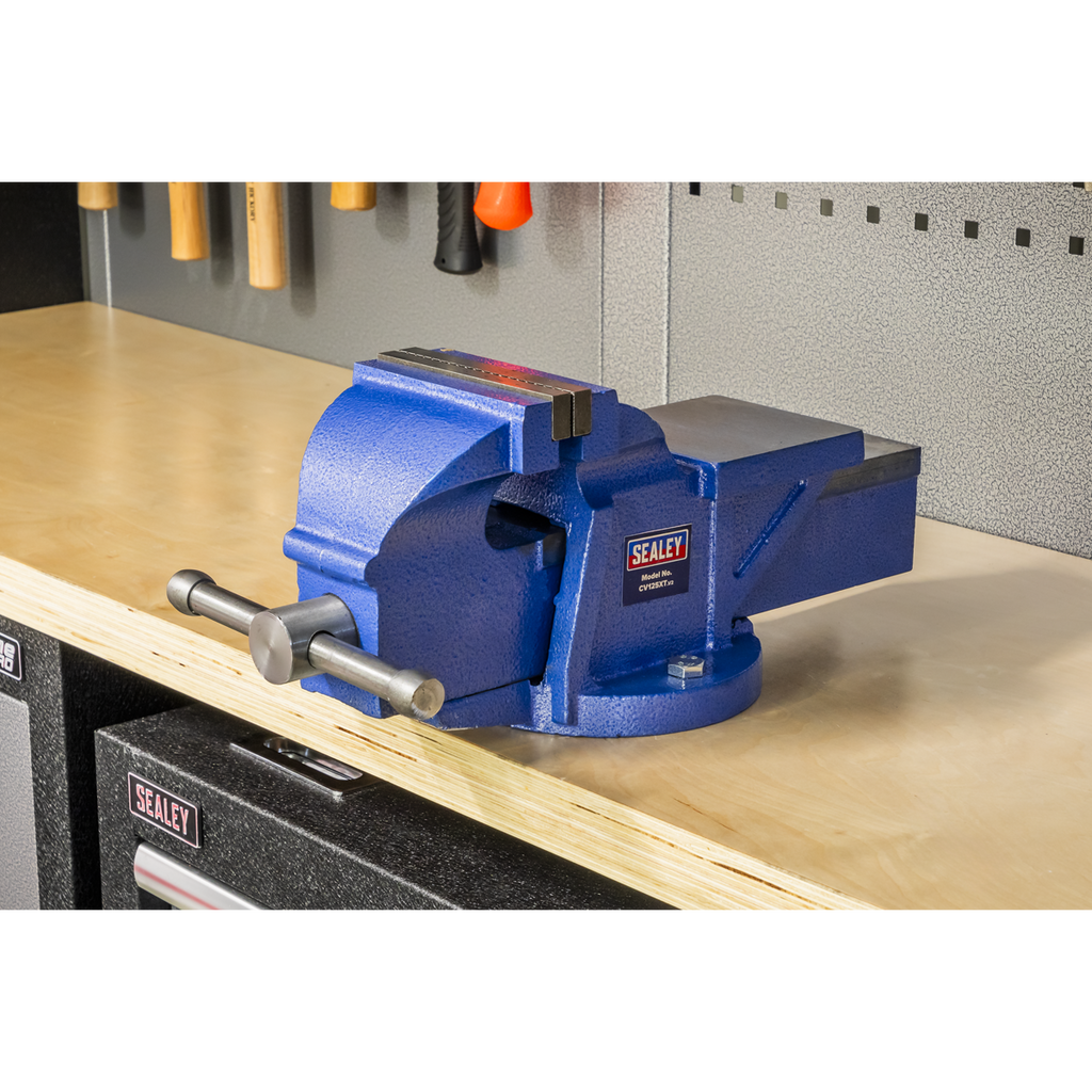 Professional Heavy-Duty Fixed Base Vice 125mm CV125XT
