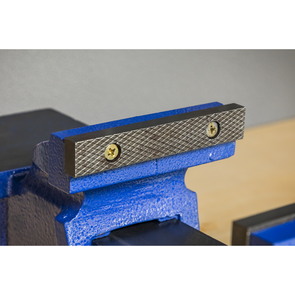 Professional Heavy-Duty Fixed Base Vice 125mm CV125XT