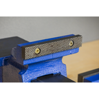 Professional Heavy-Duty Fixed Base Vice 125mm CV125XT