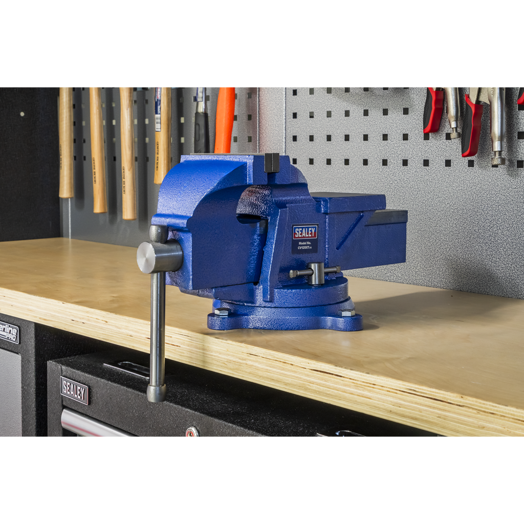 Professional Heavy-Duty Fixed Base Vice 125mm CV125XT