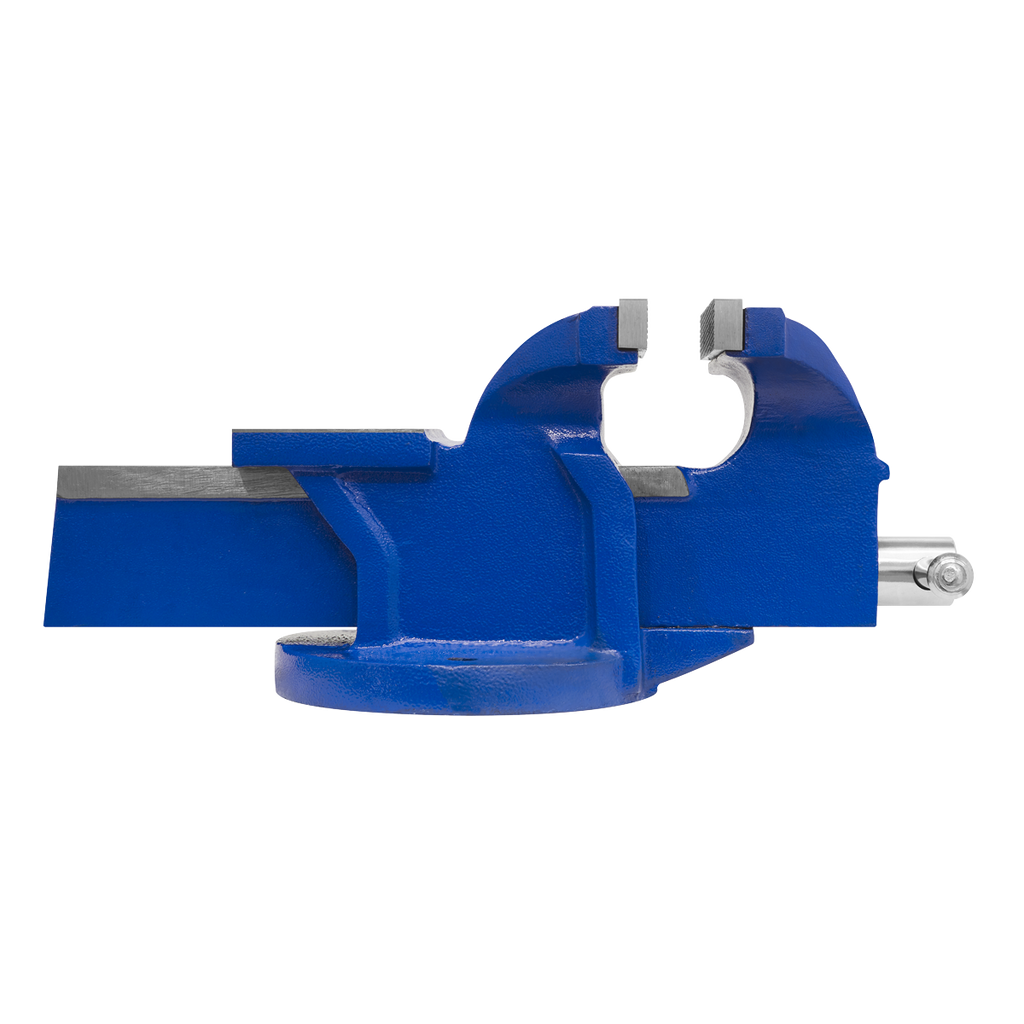 Fixed Base Vice 200mm CV200E