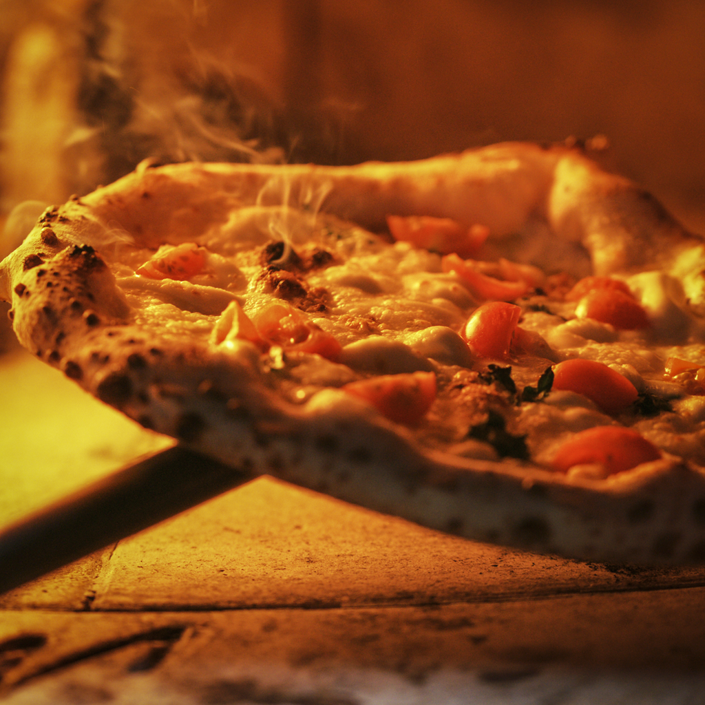 Outdoor Wood-Fired Pizza Oven & Smoker DG103