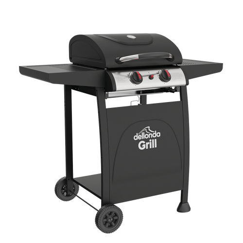 2 Burner Gas BBQ Grill with Piezo Ignition & Thermometer DG13