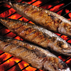 Deluxe 16"(40cm) Ceramic Kamado Style BBQ DG158