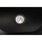 4 Burner Gas BBQ Grill with Piezo Ignition & Thermometer DG15