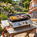 2 Burner Portable Gas Plancha DG21