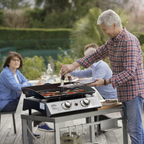 2 Burner Portable Gas Plancha DG21