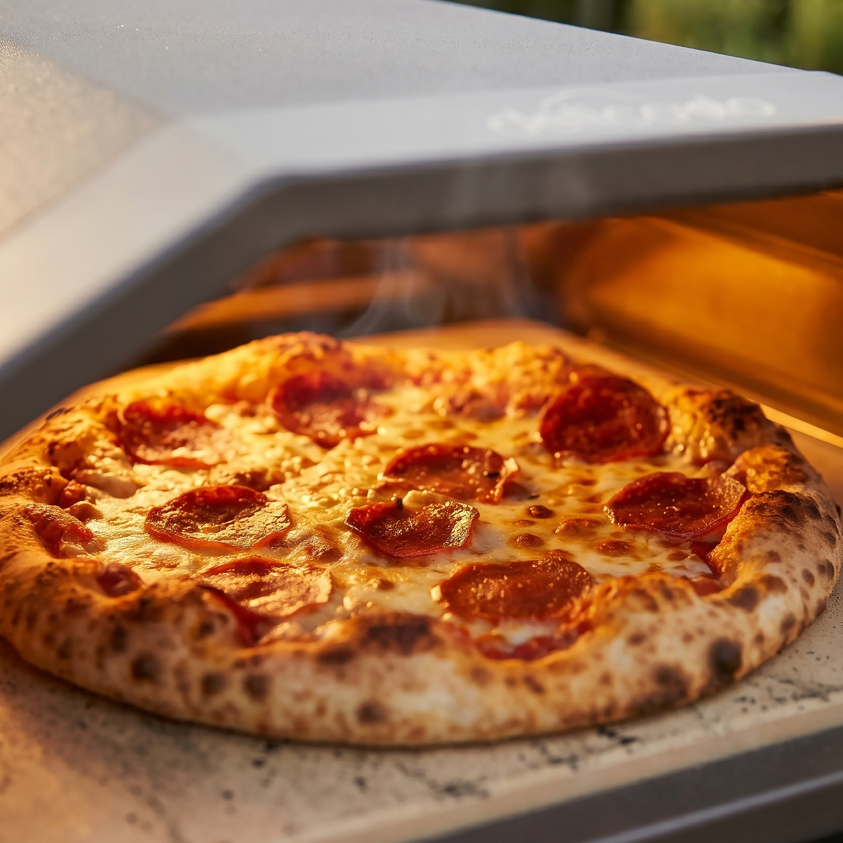Gas Pizza Oven with Water-Resistant Cover/Carry Bag, 12" Pizza Peel & Plancha Trolley DG262