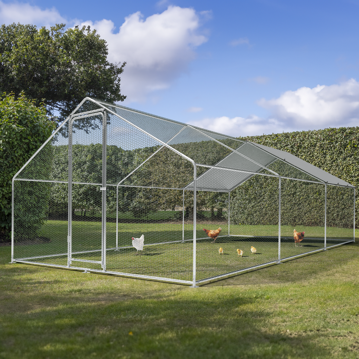 Walk-In Galvanized Steel Chicken Run with Roof Cover & PVC Coated Chicken Wire DG280