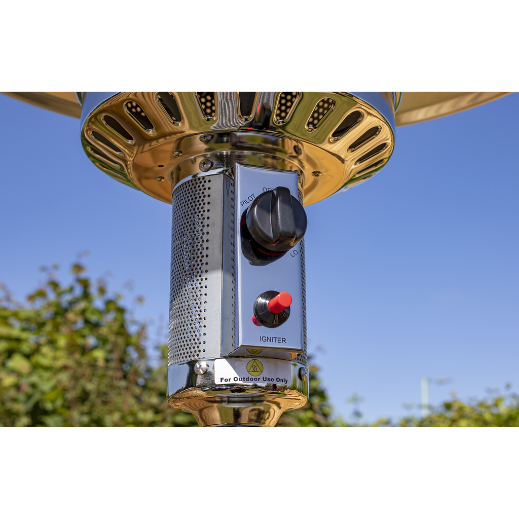 Dellonda Freestanding Outdoor Gas Patio Heater with Wheels 13kW - Stainless Steel DG2