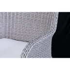 Buxton Rattan Wicker Outdoor Chairs Set 2pc DG76