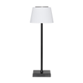 Rechargeable Table Lamp with RGB Colours - Black Frame DH212