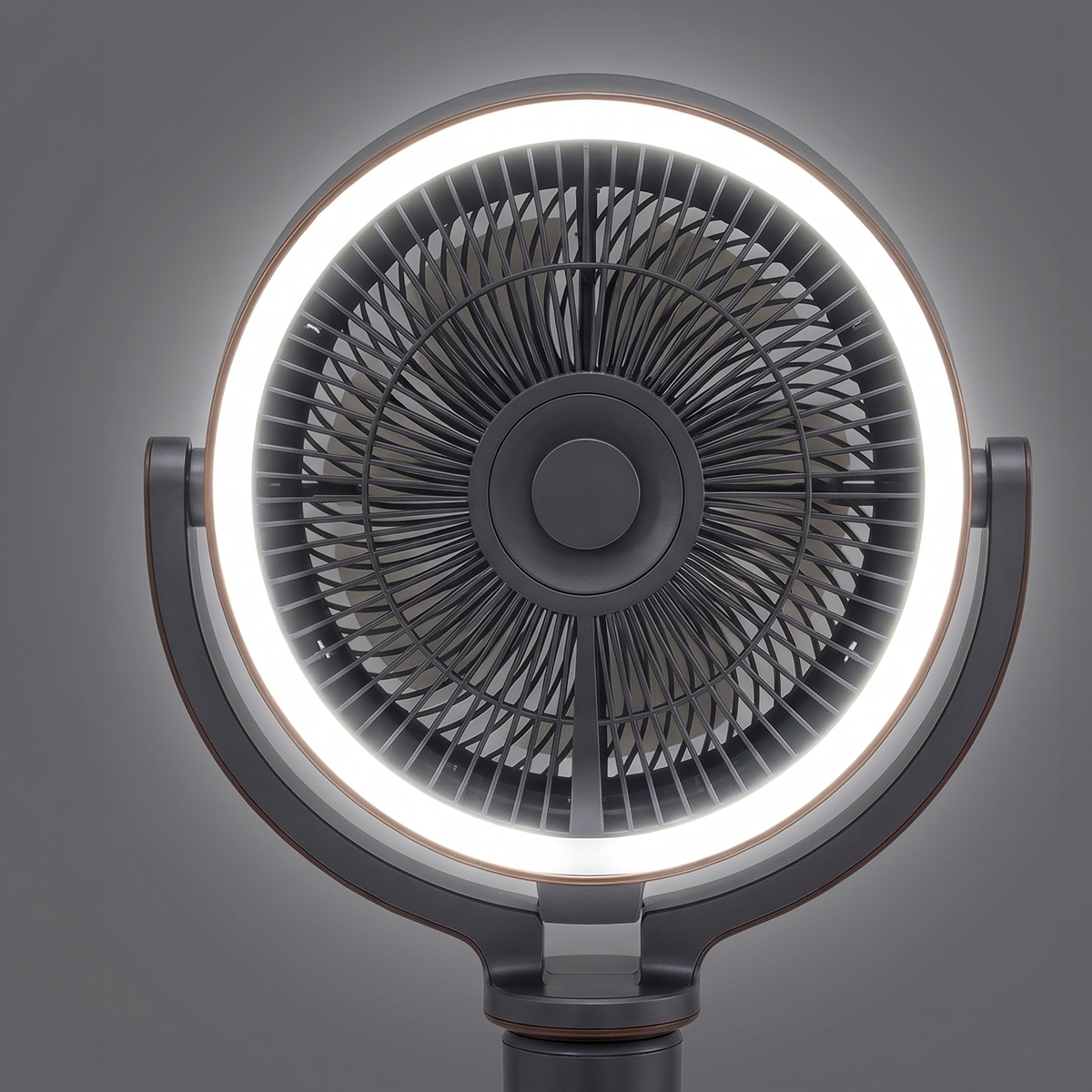 12" Pedestal Fan with Remote Control, Back Light & 12hr Timer - Grey DH264