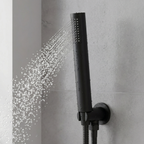 Concealed Thermostatic Shower Set 20cm Round Head & Hand Shower - Black DH319