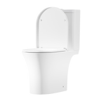 Close-Coupled Toilet with Soft Close Seat, Dual Flush Cistern & Rimless Flush – White DH332