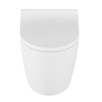 Back-to-Wall Toilet with Soft Close Seat & Rimless Flush – White DH334