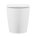 Back-to-Wall Toilet with Soft Close Seat & Rimless Flush – White DH334