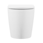 Back-to-Wall Toilet with Soft Close Seat & Rimless Flush – White DH334