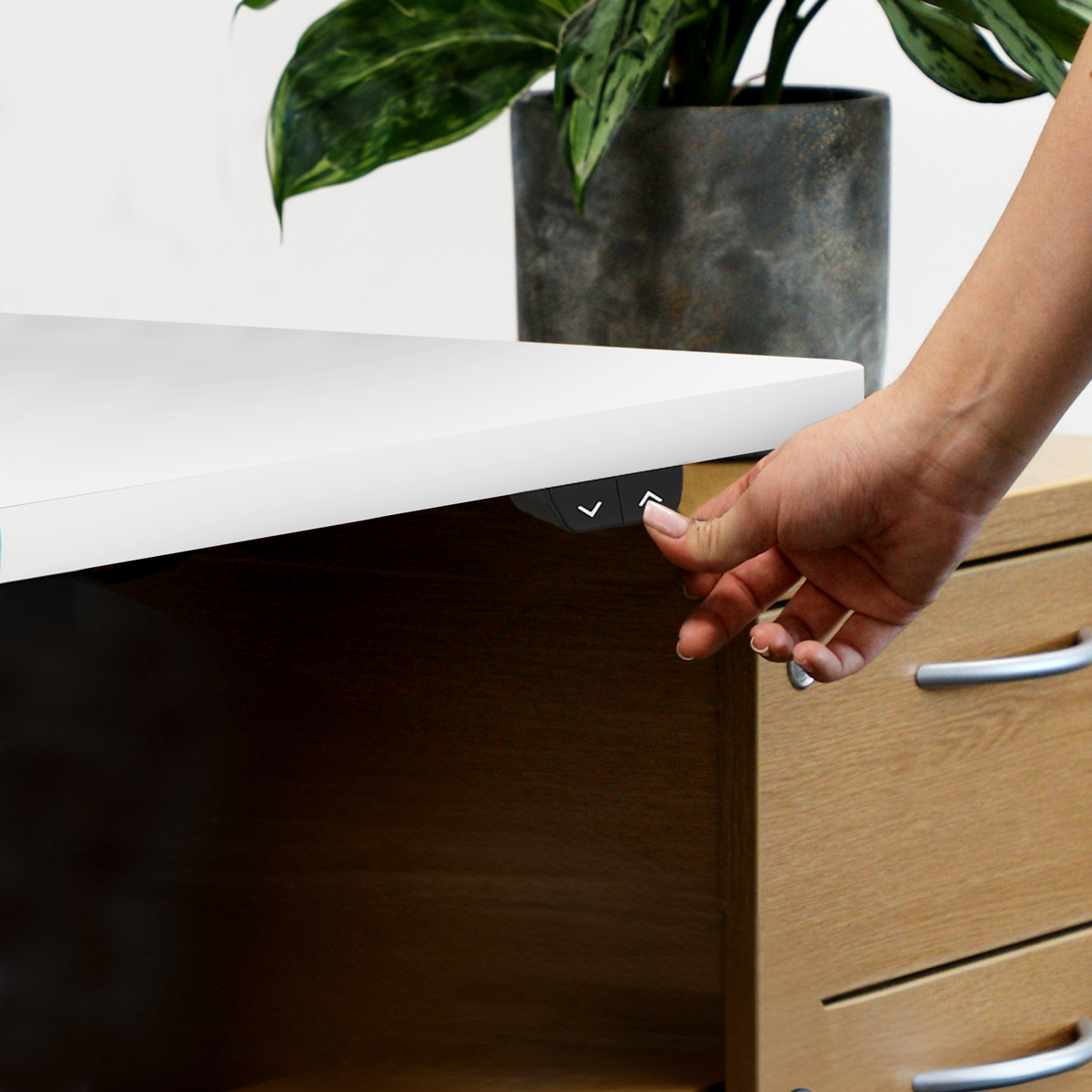 Single Motor Ultra-Quiet Adjustable-Height Electric Sit/Stand Desk - White Desktop DH36