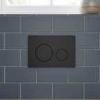 Matt Black Toilet Flush Plate with Dual Flush DH406