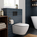 Matt Black Toilet Flush Plate with Dual Flush DH406