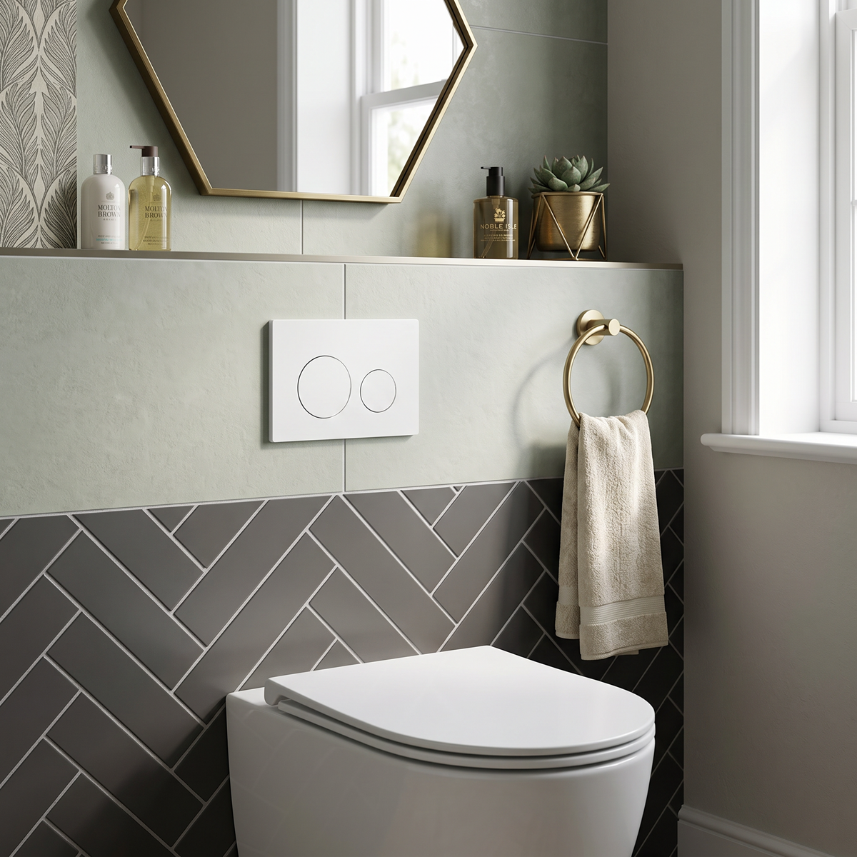Matt White Toilet Flush Plate with Dual Flush DH407