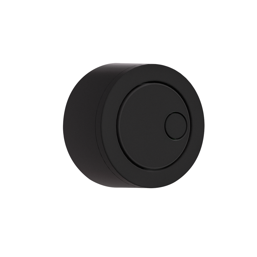 Flush Button for Cabinet-Style Cistern - Matt Black DH409