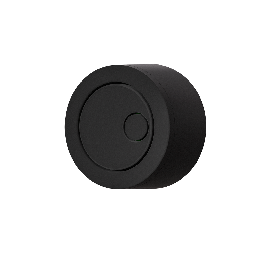 Flush Button for Cabinet-Style Cistern - Matt Black DH409