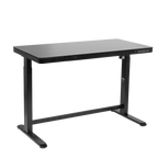 Single Motor Ultra-Quiet Electric Desk with Control Panel, USB Port & Drawer - Black desktop DH53