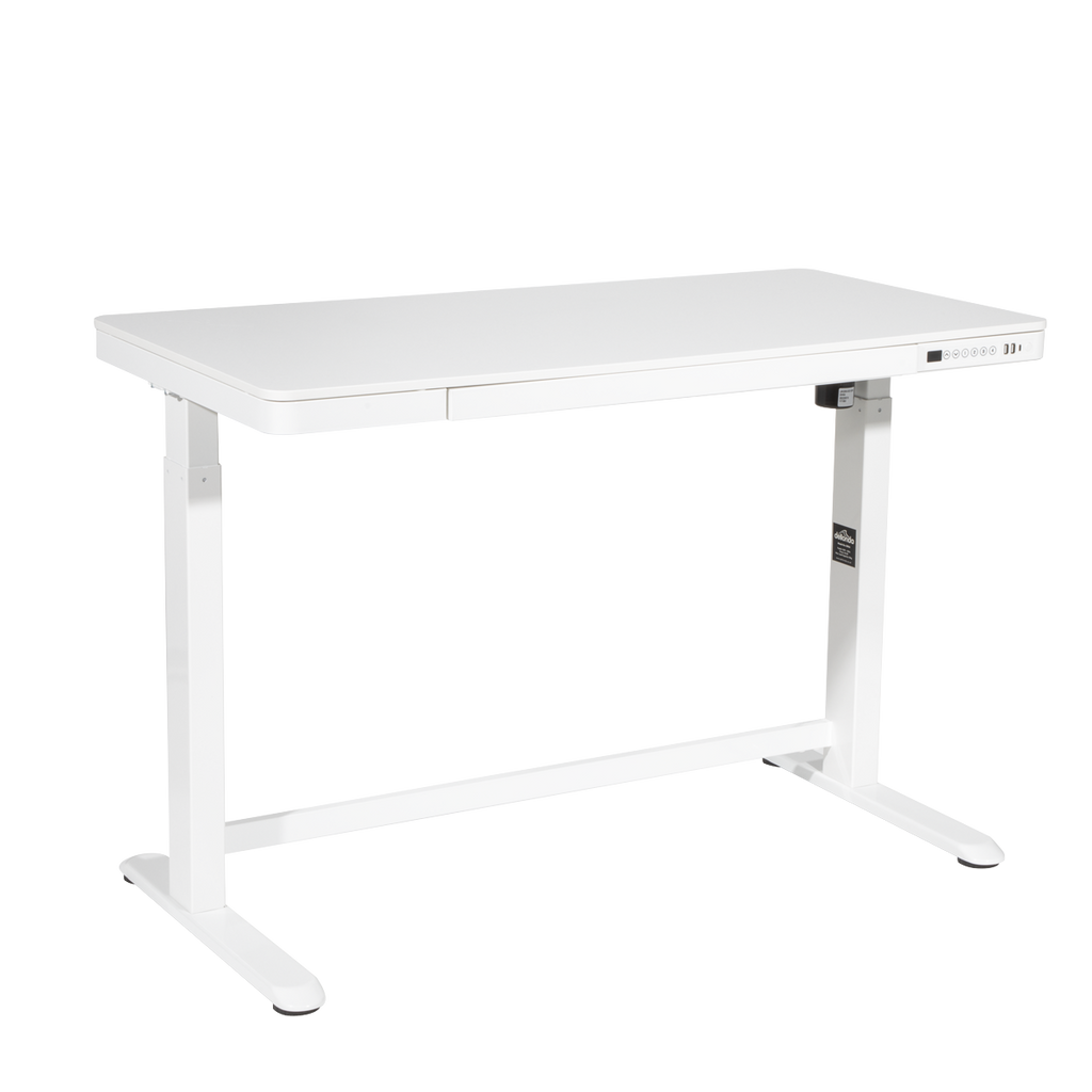 Single Motor Ultra-Quiet Electric Desk with Control Panel, USB Port & Drawer - White Desktop DH54