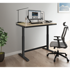 Single Motor Ultra-Quiet Electric Desk with Control Panel, USB Port & Drawer - Oak Desktop DH65