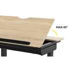 Single Motor Ultra-Quiet Electric Adjustable Drawing Table with 40° Tilt, Drawer & Side Table DH71