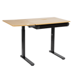 Single Motor Ultra-Quiet Electric Adjustable Drawing Table with 40° Tilt, Drawer & Side Table DH71