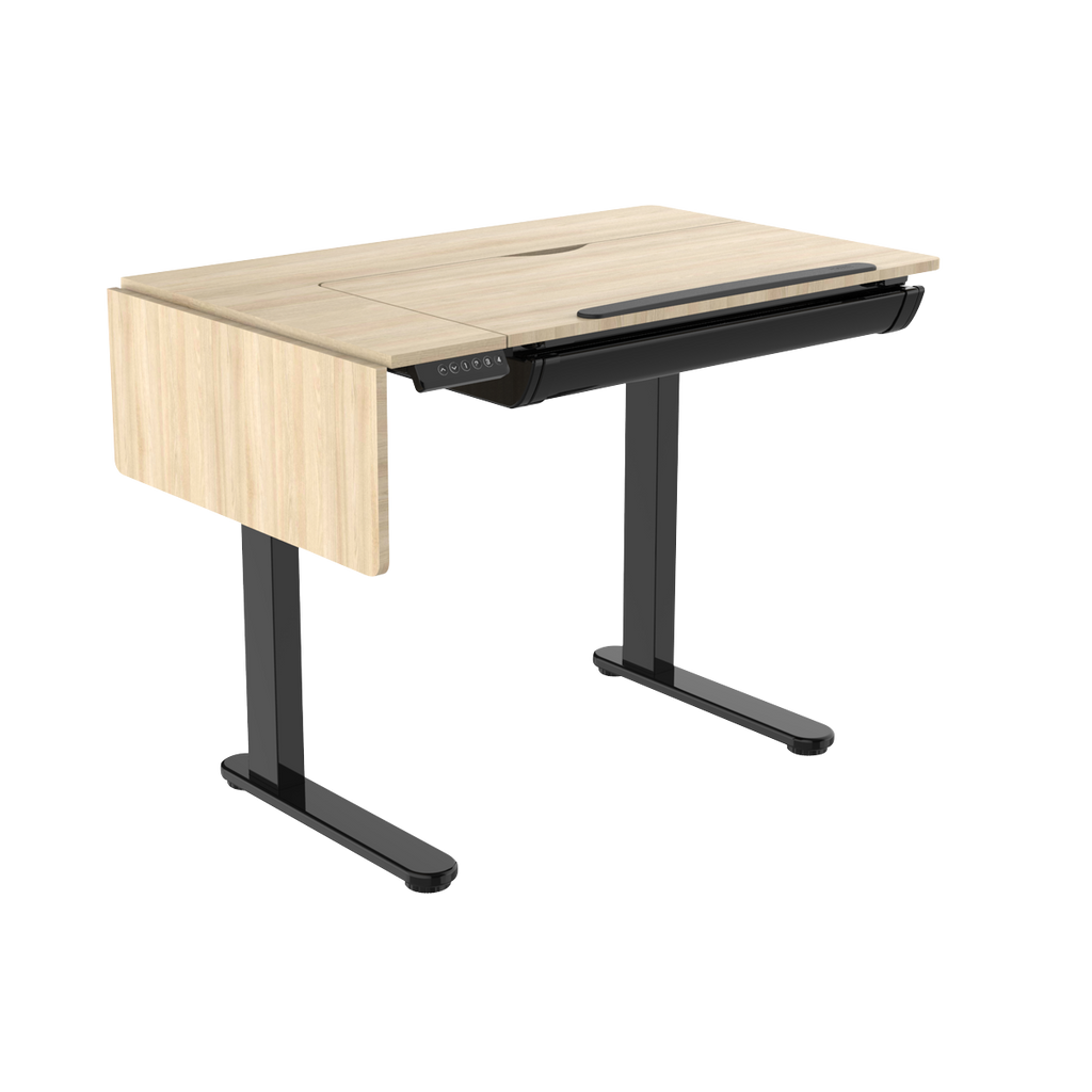 Single Motor Ultra-Quiet Electric Adjustable Drawing Table with 40° Tilt, Drawer & Side Table DH71